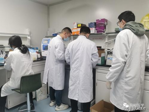 恭喜凡知醫(yī)學(xué)榮獲“專精特新”企業(yè)認定 技術(shù)創(chuàng)新引領(lǐng)行業(yè)推廣