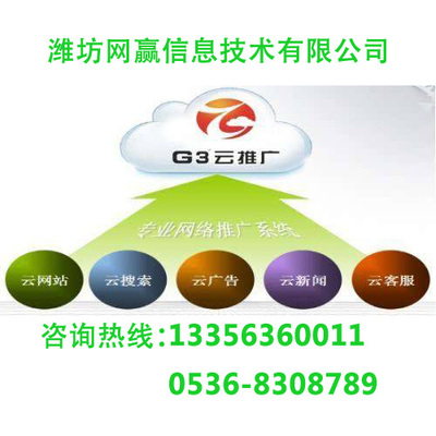 棗莊G3云推廣 按需定制技術(shù)方案，成效顯著